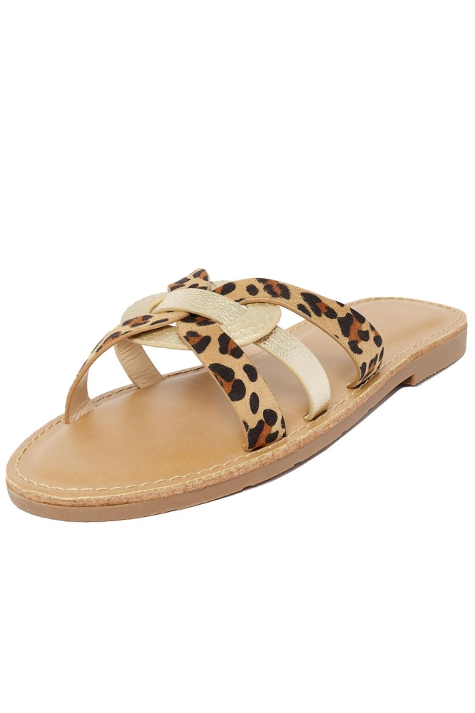 AS COW 13000809 3835 CAMEL